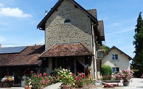 La Source D'Argammet